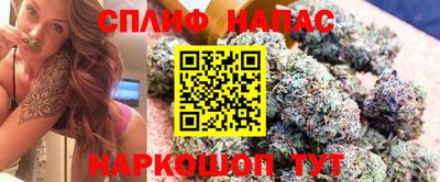 apvp Лесосибирск