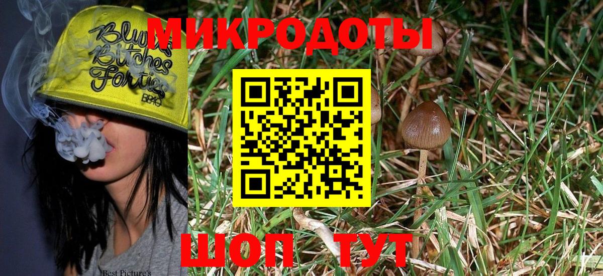 Галлюциногенные грибы Magic Shrooms  Вход с VPN  даркнет сайт  Зеленодольск 